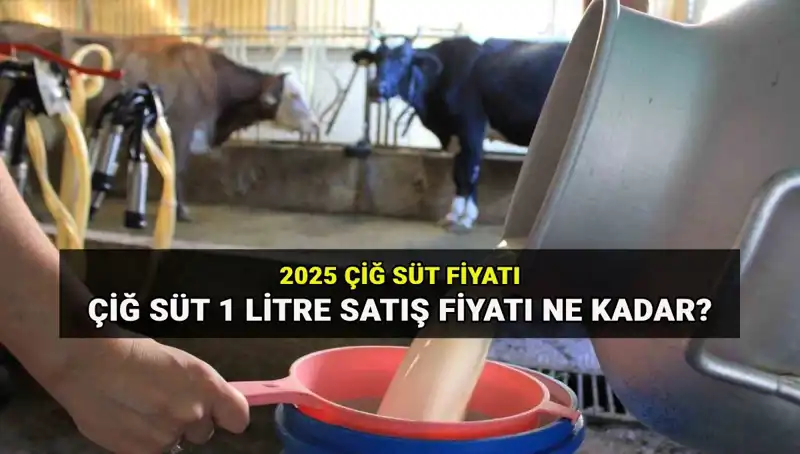 2025'te Çiğ Süt Fiyatları: Ulusal Süt Konseyi'nin Son Raporu