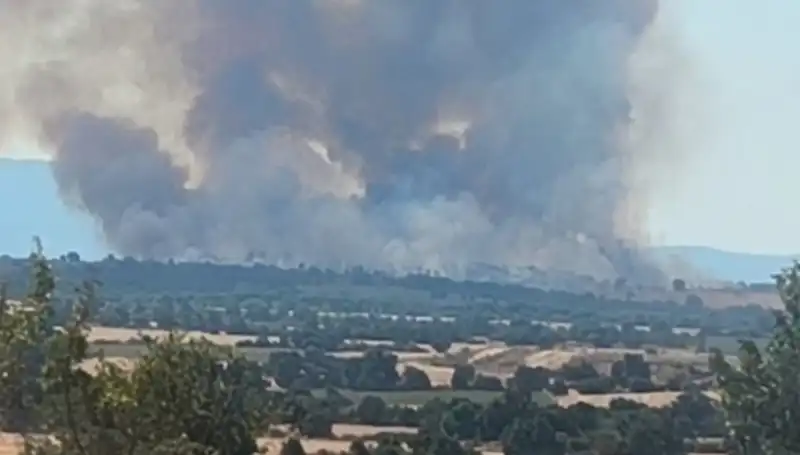 Komşudaki Orman Yangını Edirne'yi Kapladı: Neler Yaşanıyor?
