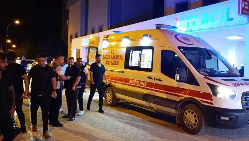 Kardeş Kavgasında Kurban Olan Büyüğün Dramı: Neler Yaşandı?
