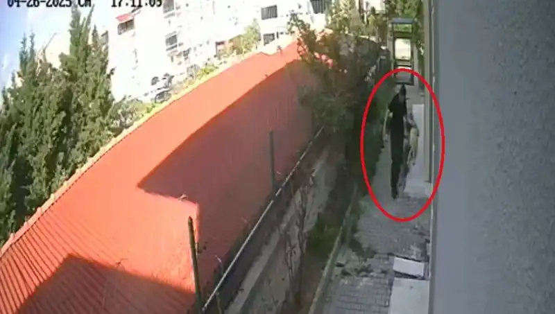 Veteriner Doktorun Akılalmaz Suçu: Sahiplendiği Köpekleri Parçalayıp Öldürdü