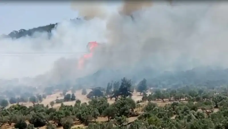 İzmir Orman Yangını: Korkutucu Gelişmeler ve Süreç Gözler Önünde