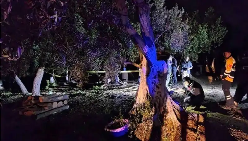 Çiftlikteki Baltalı Vahşet Olayında Şok Gelişme: Bir Tutuklama