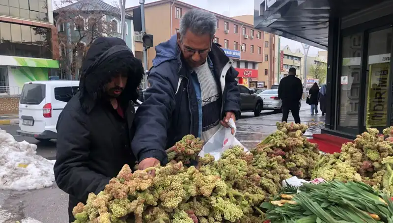 Güçlü Şifa Kaynağı: Kanserle Mücadelede Kanıtlanan Kendiliğinden Yetişen Bitki