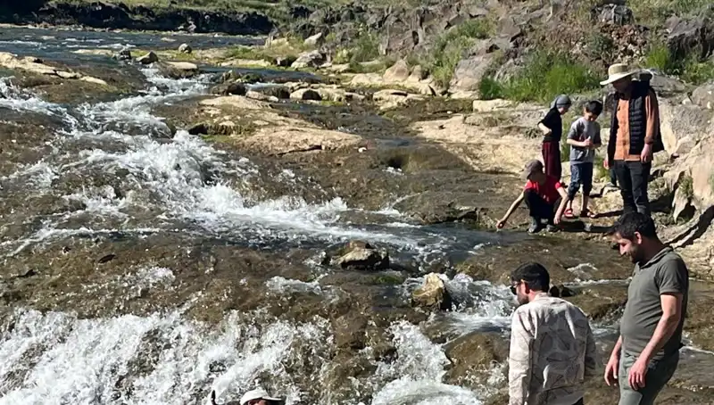 İnci Kefali Göçü: Doğanın Büyüleyici Yolculuğu ve Turizm Etkisi