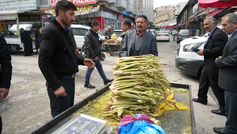 Dağlık Alanda Toplanan Şekerin Sağlığa Faydaları ve Mide Hastalıkları Üzerindeki Etkisi
