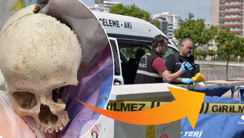 Gizemli Kafatası Olayında Şok Gelişme: Uzman Doktor Gözaltında!
