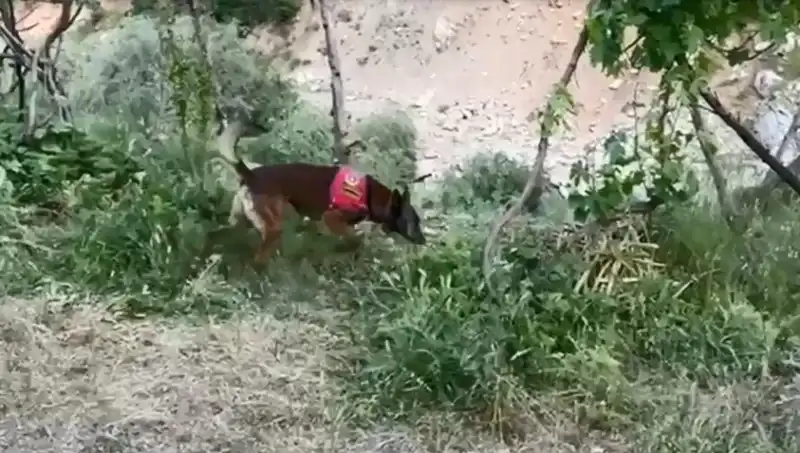 Dere Kenarında Bulunan Esrarın İzini Dedektör Köpekler Sürdü