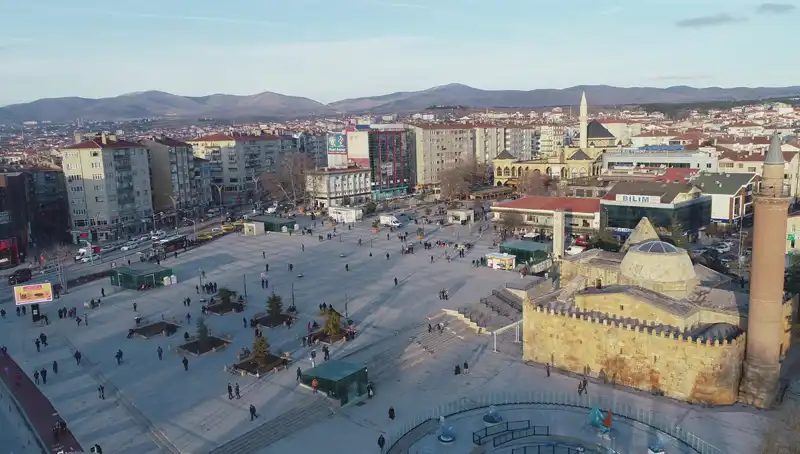 Kırşehir'de Keşfedilen Yeni Böcek Türü Bilim Dünyasını Sarstı