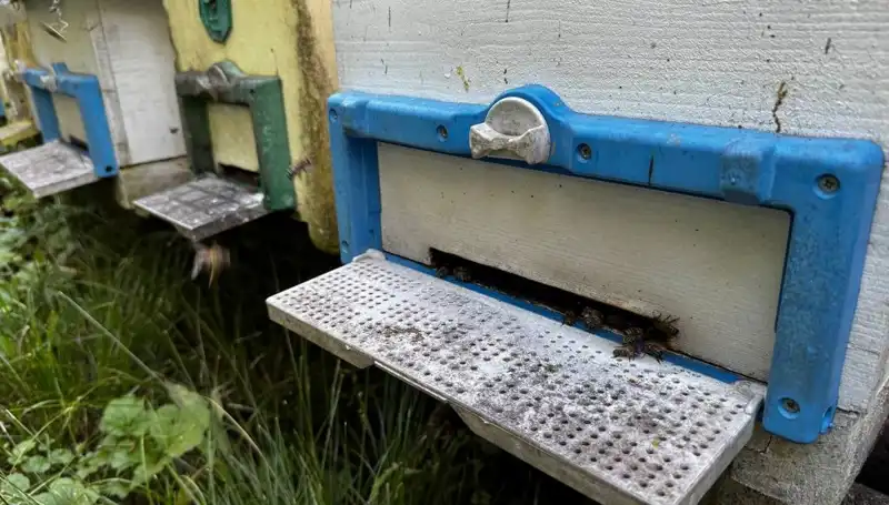 Dedesinin Vizyonuyla Tarımda Yeni Bir Başlangıç: 1 Ton Hedefi