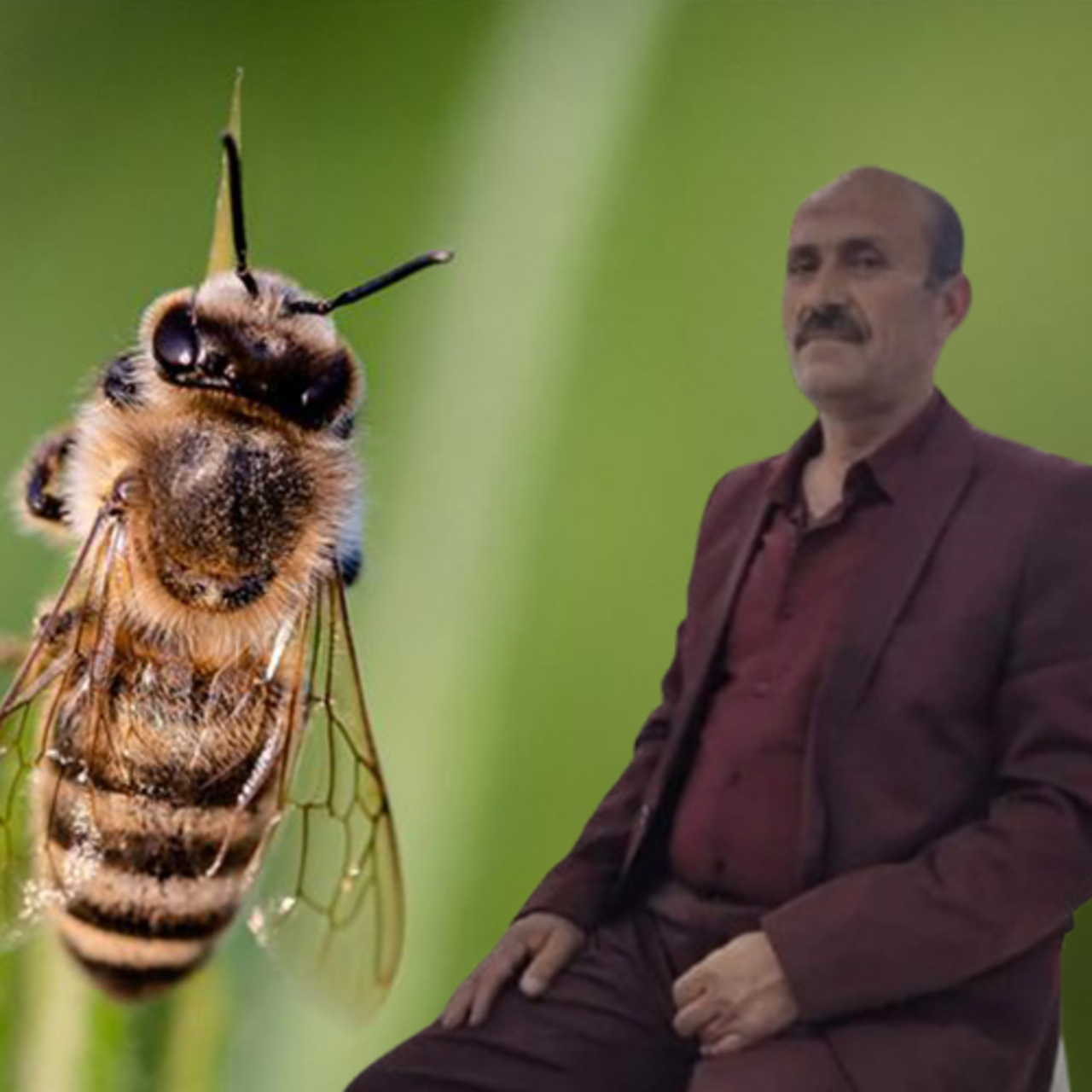 Bal Tadına Bakarken Hayatını Kaybetti: Ölümcül Tehlikenin Sebebi Ne?