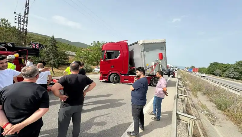 Seyir Halindeyken Arı Sokmasıyla Trafik Kazası ve Sonrası Şok Gelişmeler