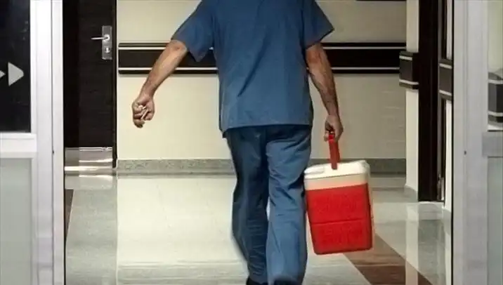 Organ Bağışı İçin e-Devlet ve e-Nabız Yokları Kaldırıyor: Yeni Dönem Başlıyor