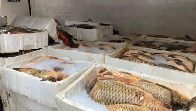 Kaçak Balık Avına Çarpıcı Ceza: Binlerce Lira Ödenecek!
