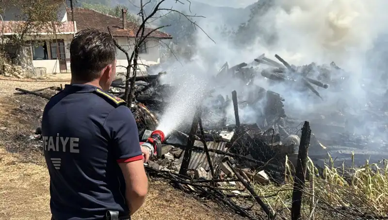 Evde Çıkan Yangın Korkunç Bir Felakete Dönüştü: Orman Yangınına Sebep Oldu
