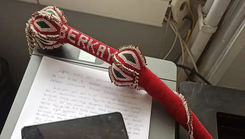 Kırbaçlı Saldırganlardan Kaçarken Ölümü Göze Alan Genç Kadının Hikayesi