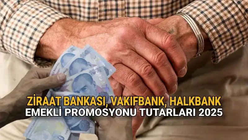 Kamu Bankaları Emekli Promosyonlarında 2025 Fırsatları: Ziraat, Vakıfbank ve Halkbank