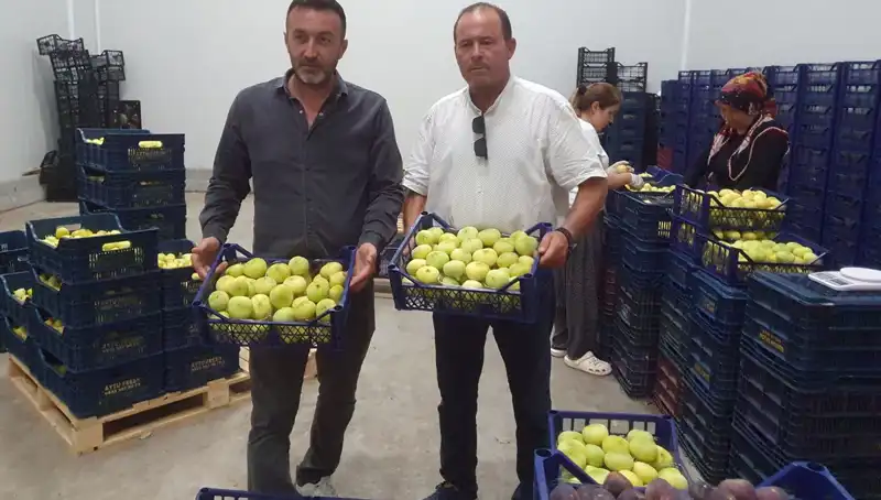 Mersinli Çiftçilerin Yüzü Gülüyor: 20 TL'ye İhraç Edilen Ürünler