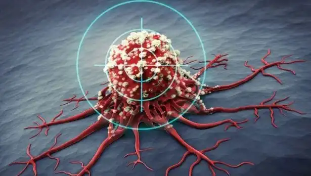 Prostat Kanseriyle Savaşan 6 Güçlü Besin: Bilim Adamları Onayladı