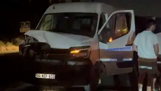 İstanbul’da Manda Kazası: Üç Kişi Yaralandı, Çevrede Panik Yaşandı