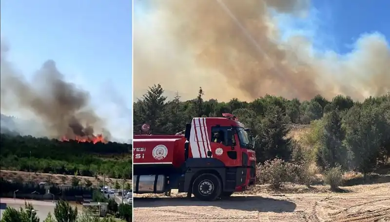 Gebze’deki Orman Yangını, Doğayı ve Hayatı Tehdit Ediyor!