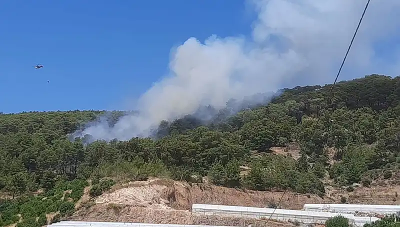 Kumluca'da Şok Etkisi Yaratan Orman Yangını: Sebepleri ve Sonuçları