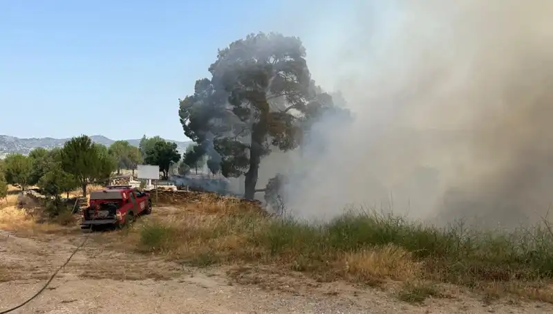 Muğla'da Bir Gecede Korkutan Orman Yangını: Neler Oldu?