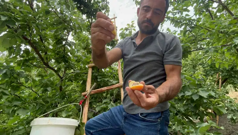 Tadı Damakta Kalan Bu Lezzet Şimdi 50 TL ile 70 TL Arasında!
