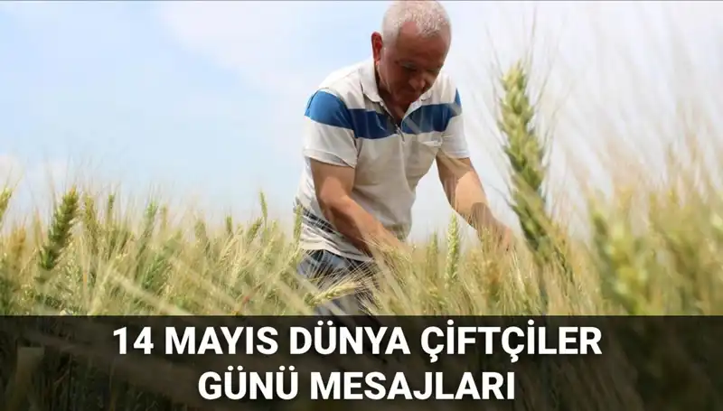 14 Mayıs Dünya Çiftçiler Günü: Çiftçilere En Güzel Mesajlarla Saygı Duruşu