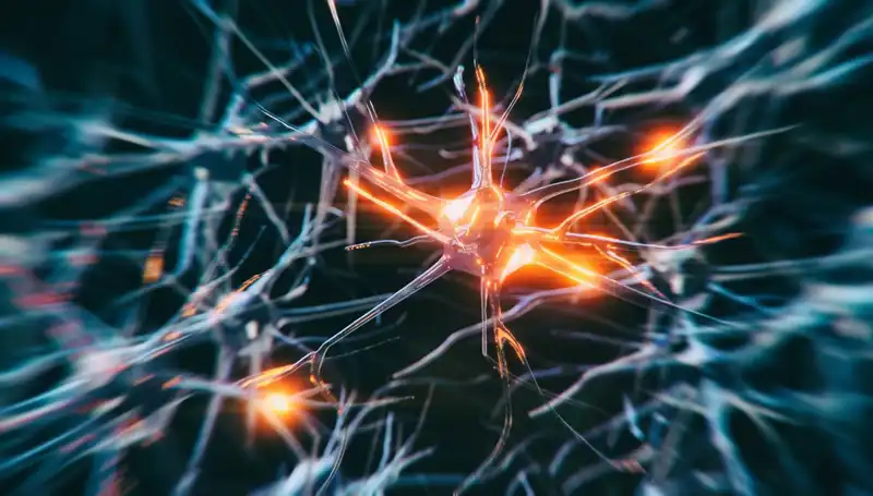 Alzheimer Vakalarındaki Büyümenin Arkasındaki Sarsıcı Nedenler