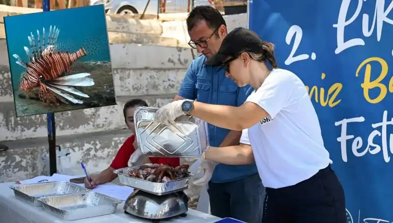 Antalya'da İstilacı Aslan Balığı Avlama Yarışması Coşkusu Başladı