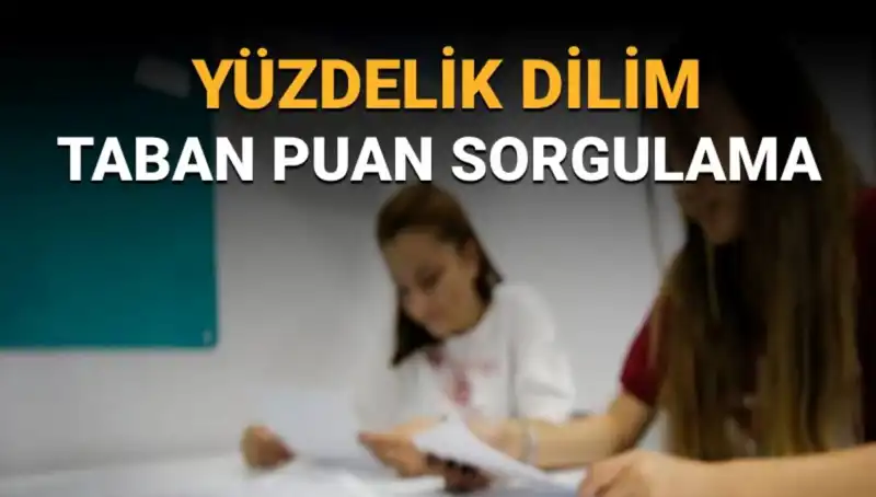 2025 LGS Taban Puanları ve Yüzdelik Dilim Sorgulama Ne Anlama Geliyor?