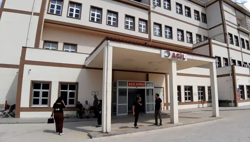 Bolu'da Gündem: Ayı Avı Kararı Tüm Türkiye’yi Şaşırttı