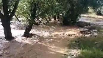 Mersin'de Sağanak Yağış Sonrası Beklenmedik Sel Felaketi