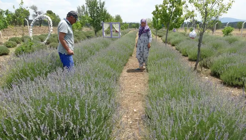Hobi Olarak Başladılar, Şimdi Başarılarıyla Göz Dolduruyorlar