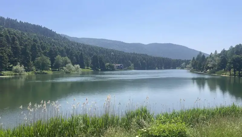 Bolu'nun Milli Parkları Ziyaretçi Akınıyla Büyülüyor!