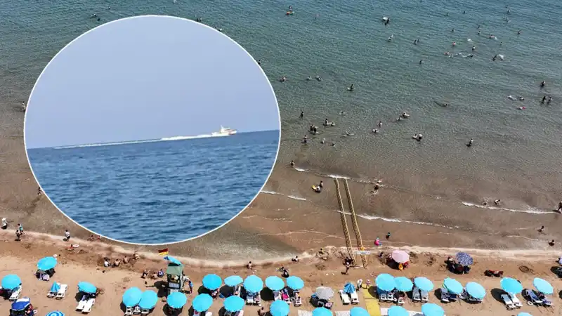 Plajda Köpek Balığı Panik Yaratıyor: Gerçekler Düşündüğünüz Gibi Değil