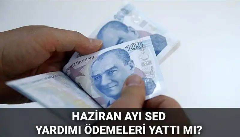 2025 Haziran Ayı SED Ödemeleri: Sorgulama ve Bilmeniz Gerekenler