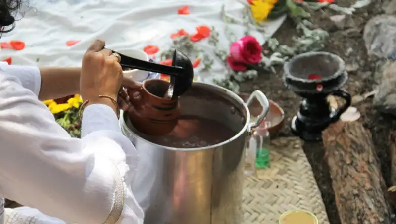 Ayahuasca: Gizemiyle Büyüleyen Doğanın İksanı ve Yasal Durumu