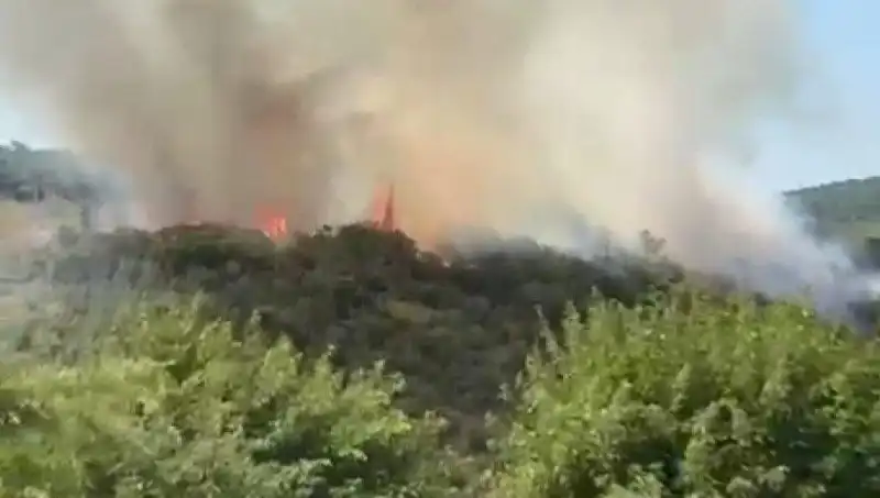 İstanbul Orman Yangını: Vatandaşlar Güvenli Bölgelere Tahliye Edildi