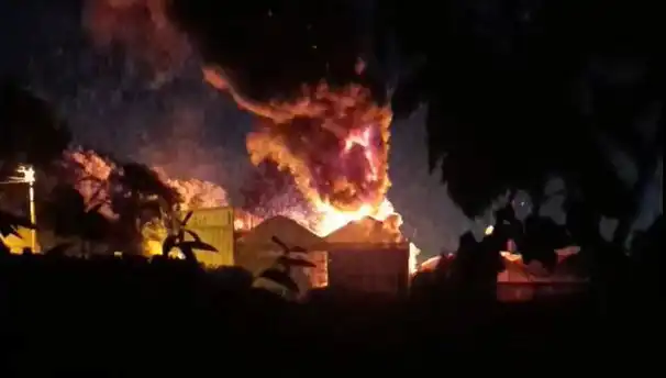 Çınarcık'ta Korkutan Yangın: Şehir Panic İçinde