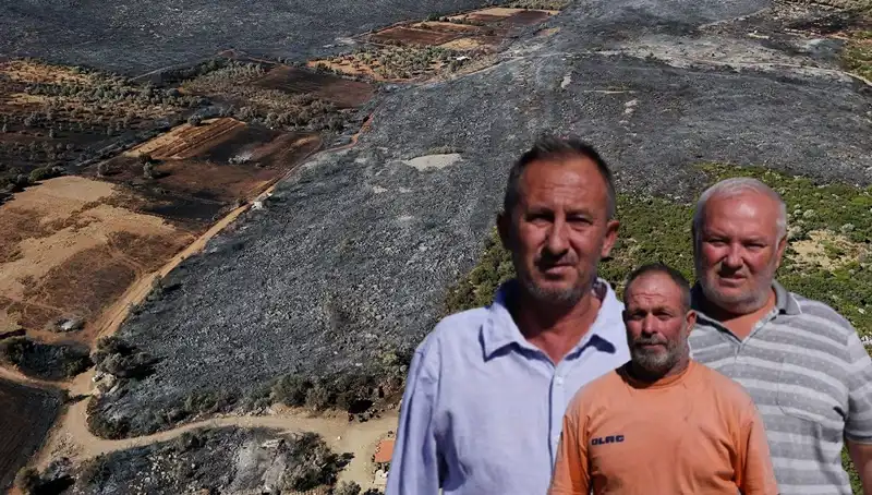 Çeşme Yangını: Doğanın Gazabı, Yüreklere Düşen Yangın Yaraları