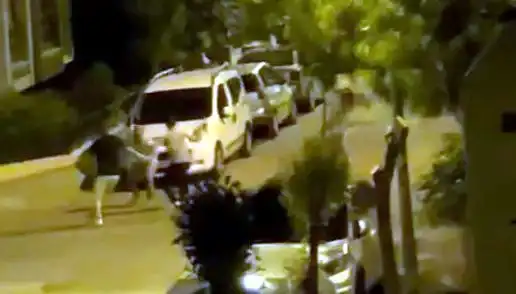 Avcılar’da 3 Kişilik Çete, Bir Vatandaşı Saldırıda Yok Etti!