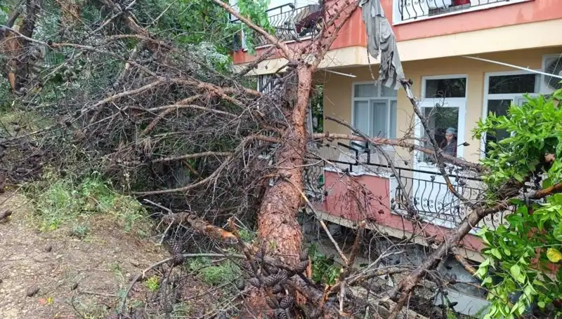 Yağmur, Terkedilmiş Bina Üzerine Dev Durumu Nasıl Getirdi?