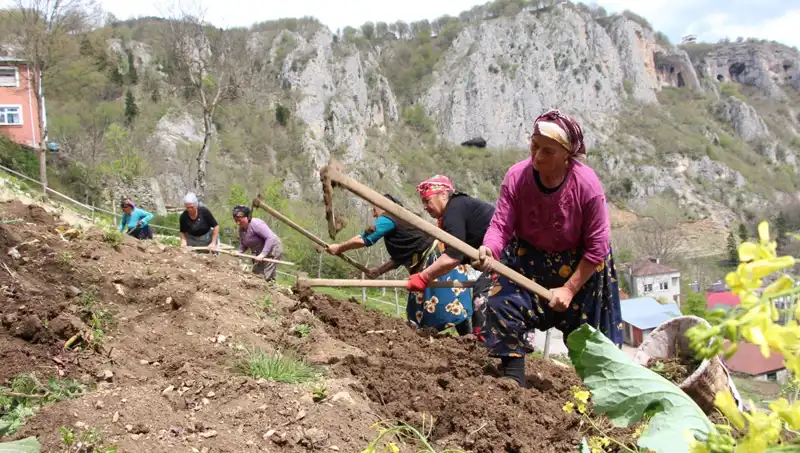 Zorlu Mesai Başladı: Sırtlarında Sepetler, Ellerinde Kazmalarla Yeni Görevine Koştular