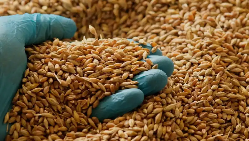 Uzman Doktorun Tavsiyeleri: Kalp Hastalığı Riskini Azaltan Beslenme Yöntemleri