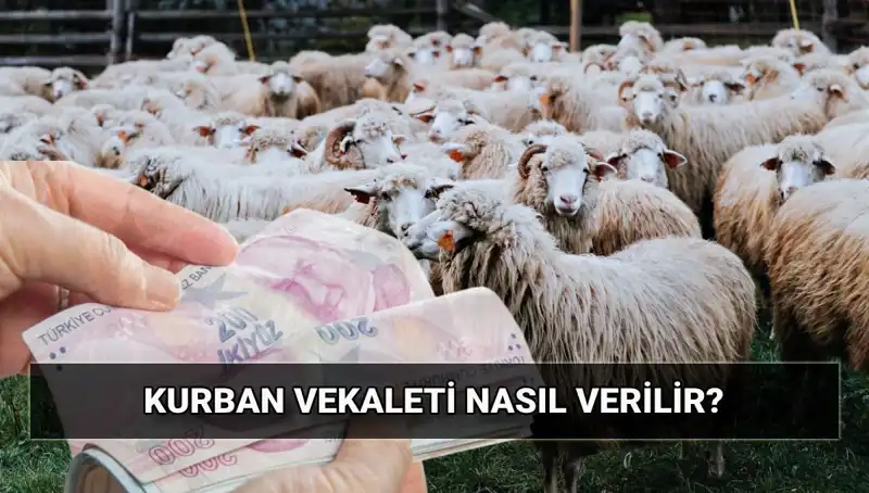 Vekaletle Kurban Kesimi: 2025 Diyanet Ücretleri ve Nasıl Yapılır?