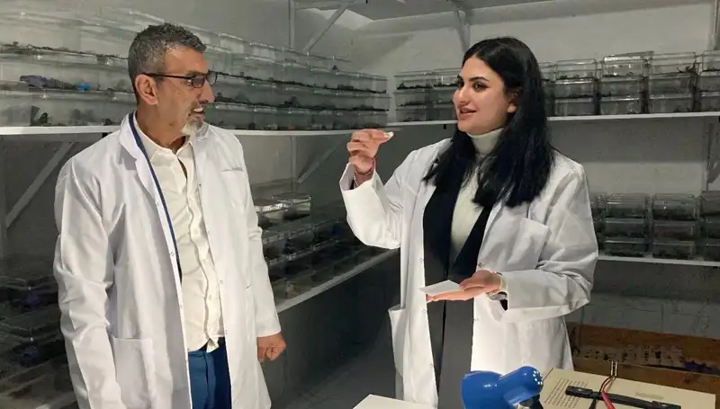 Akrep Zehrinin Tadı: Şekerle Buluşan İlginç Deneyim