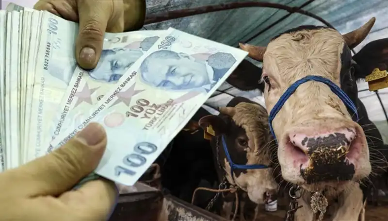 Memur ve Emekli Maaşları Bayram Öncesi Yatacak mı? Merakla Beklenen Açıklama!
