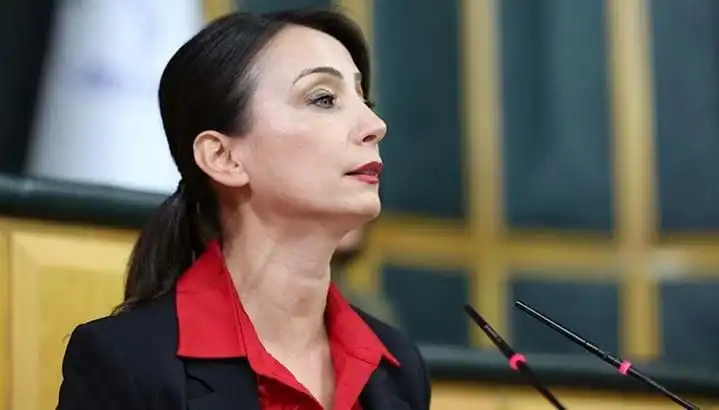 Öcalan’ın Silah Bırakma Çağrısı: DEM Parti Siyasi Turuna Çıkıyor
