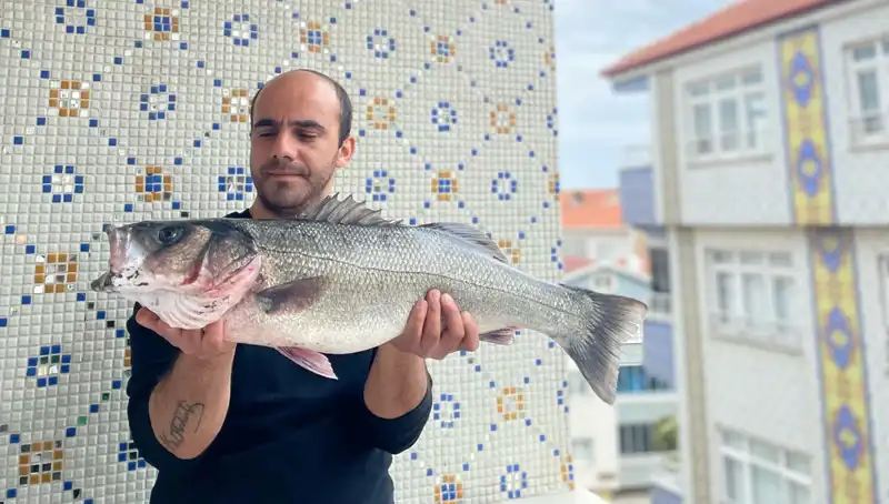 7,5 Kiloluk Dev Levrek, Balıkçıları Hayrete Düşürdü!